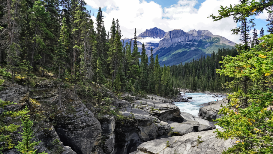 Двинско-Пинежский Лесной массив