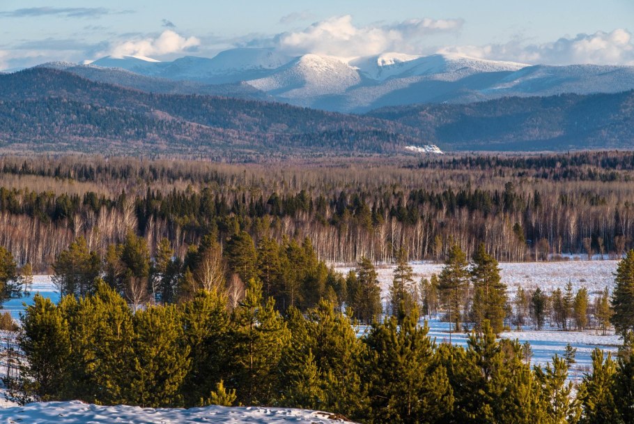 Евразия Тайга горы