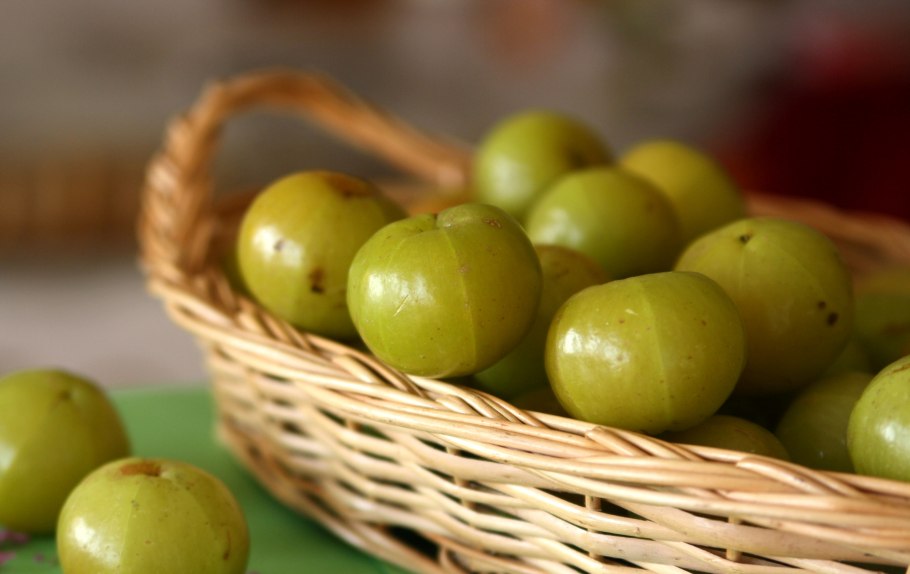 Амла ягода