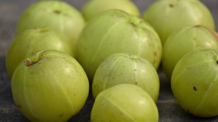 Бигодаги Амла