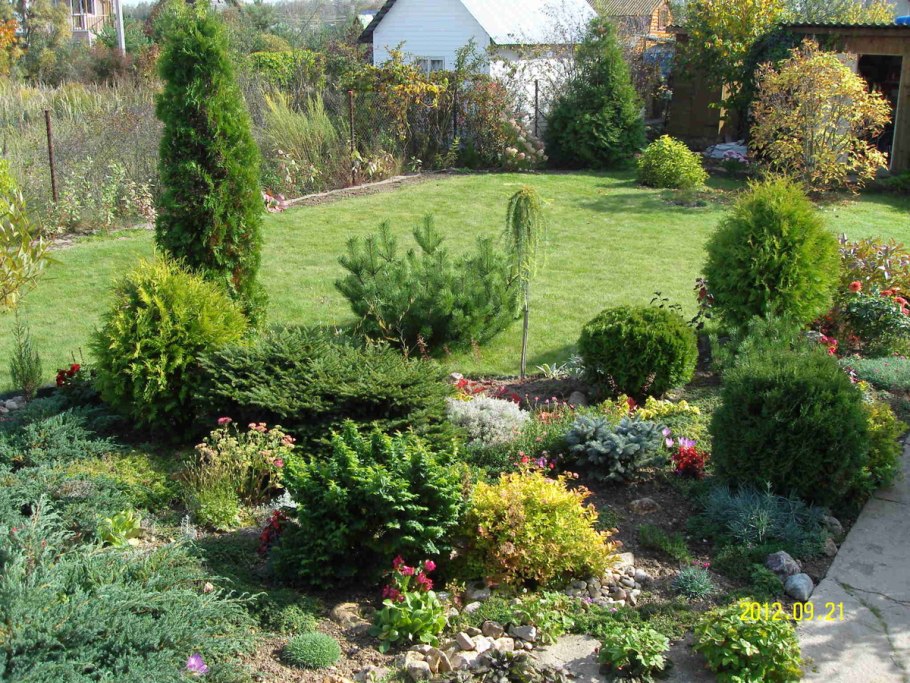 Хвойники в Лесном ландшафте