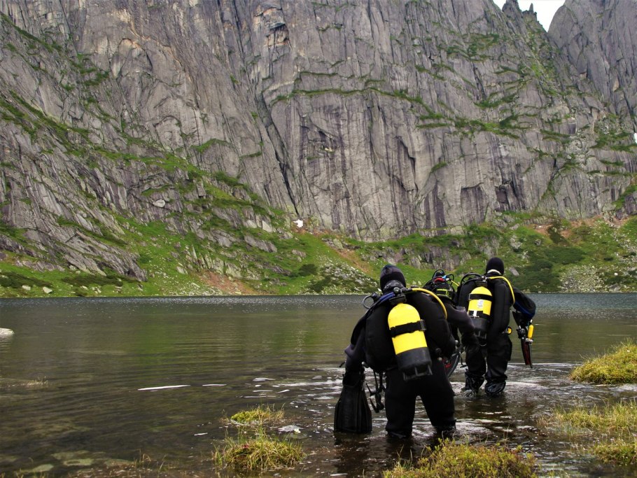 Калипсо луковичная