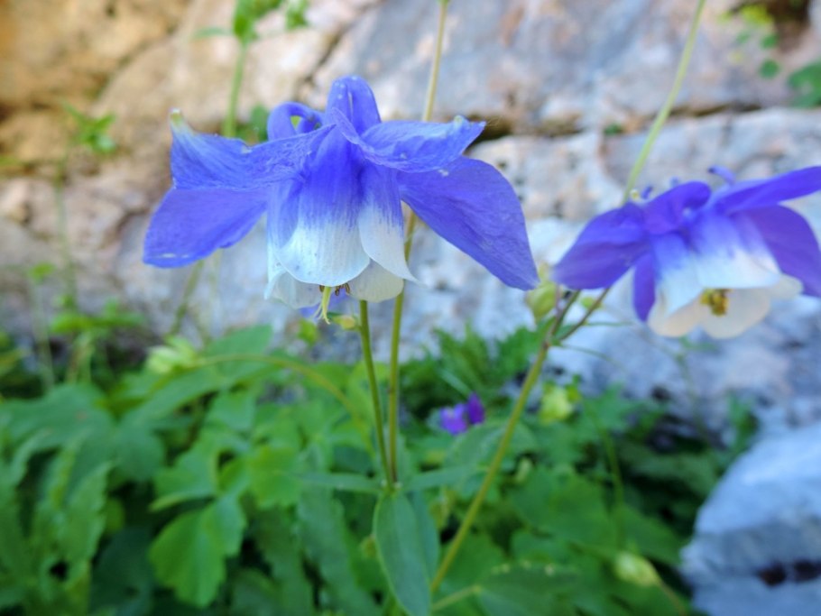 Водосбор с одной дороги на другую