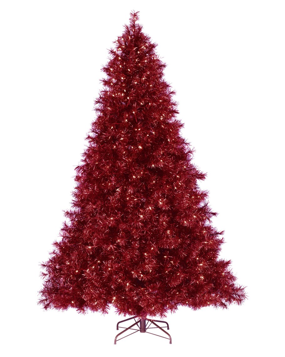 Ель красная Picea Rubens Nova Scotia Canada