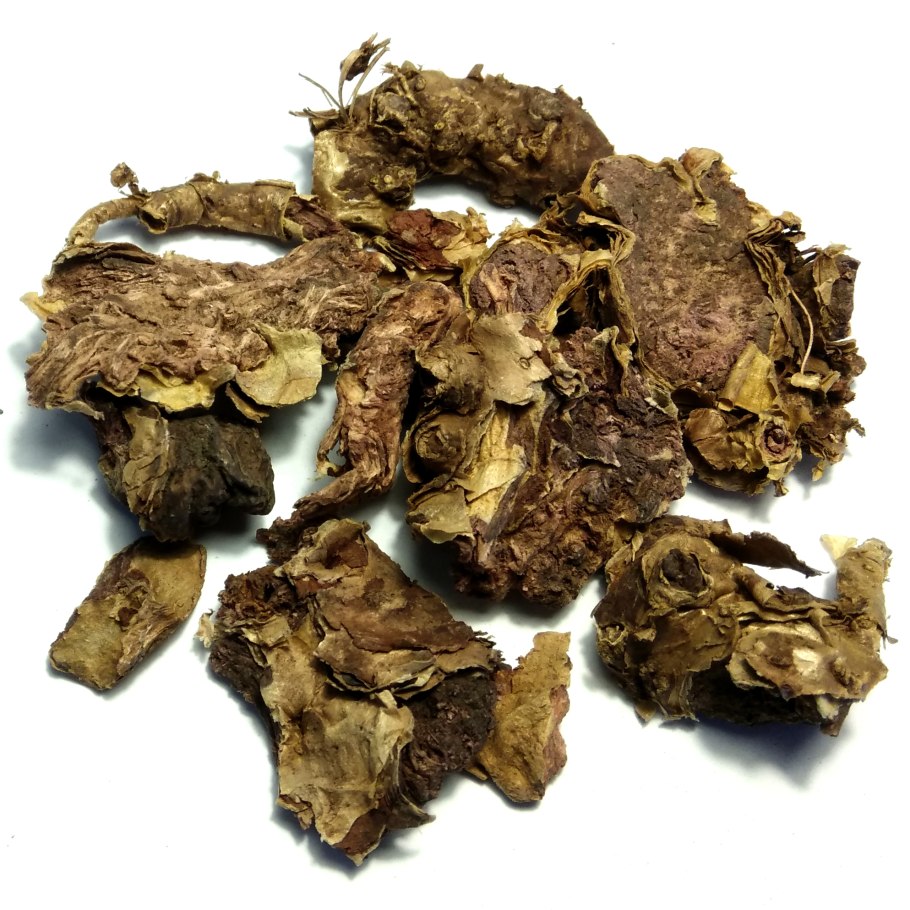 Золотой корень Алтай