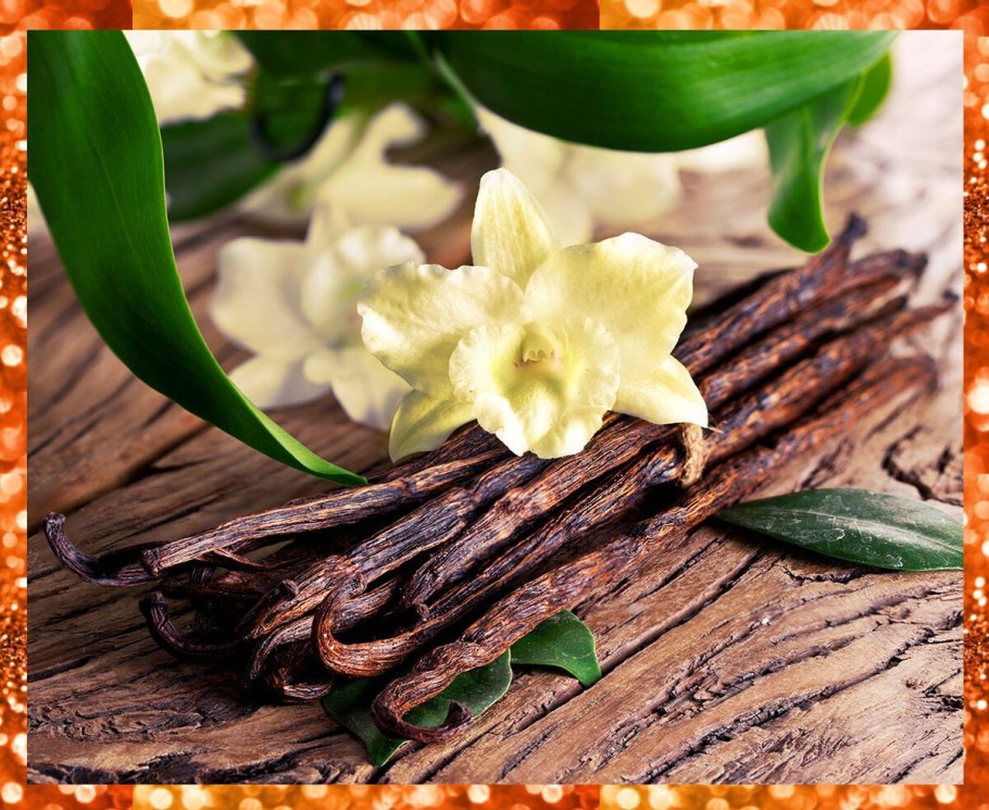 Орхидея ваниль вариегатная