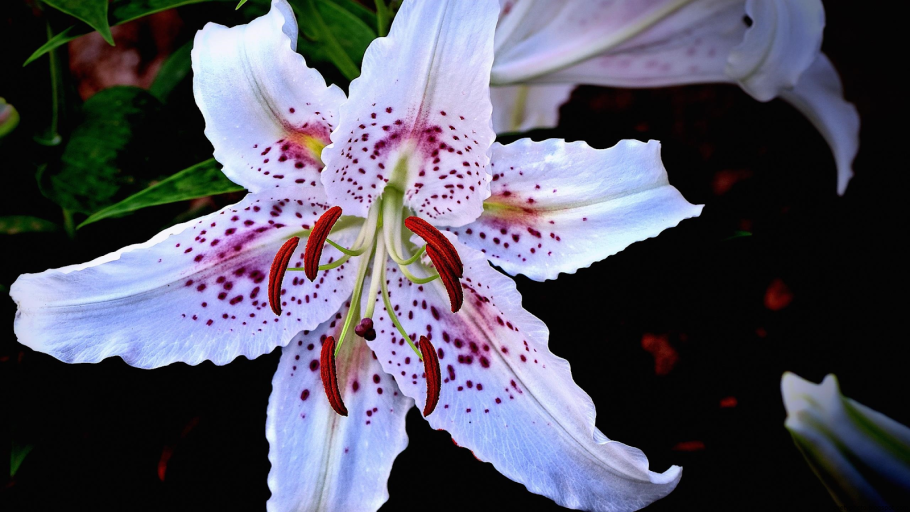 Лилия Бурочкина выставка Латвия