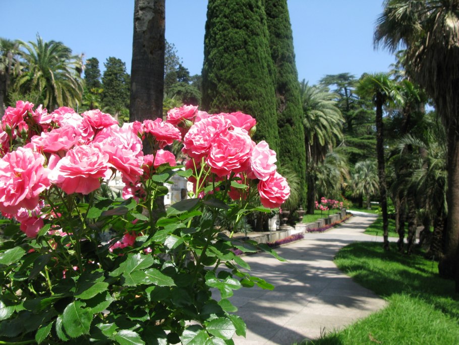 Ботанический сад Кирстенбош Кейптаун