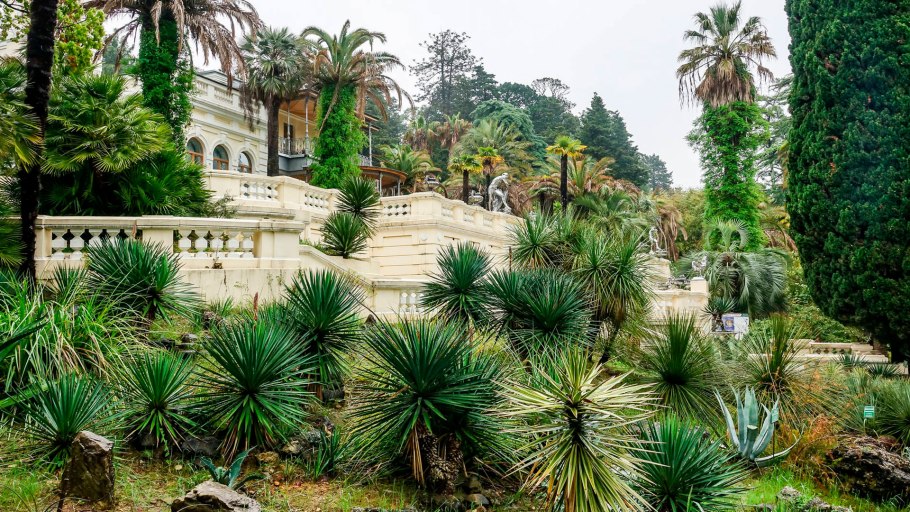 Ботанический сад на Канарских островах