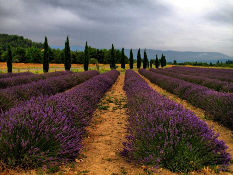 Катетер внутривенный 18g