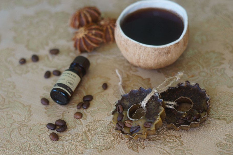 PV контроллер заряда ls1024rp