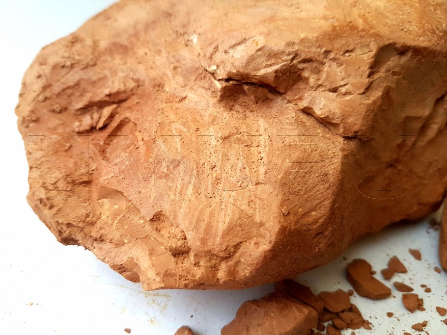 Ботаника-масло эфирное Кассиевое 10мл