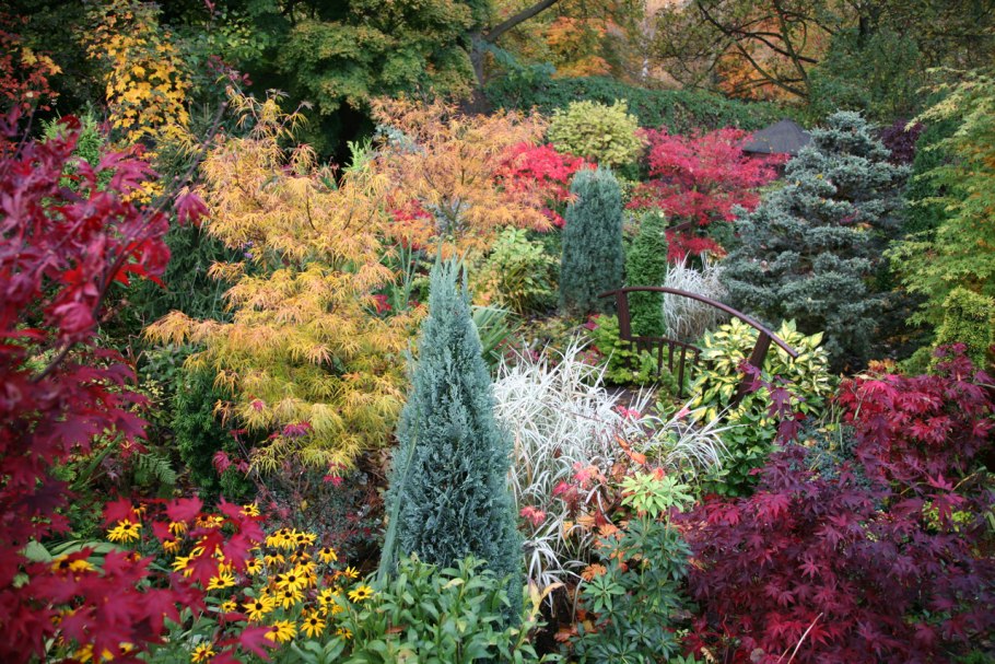 Садовая осенняя композиция