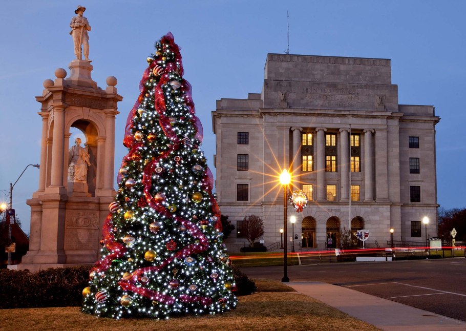 Елка пушистая