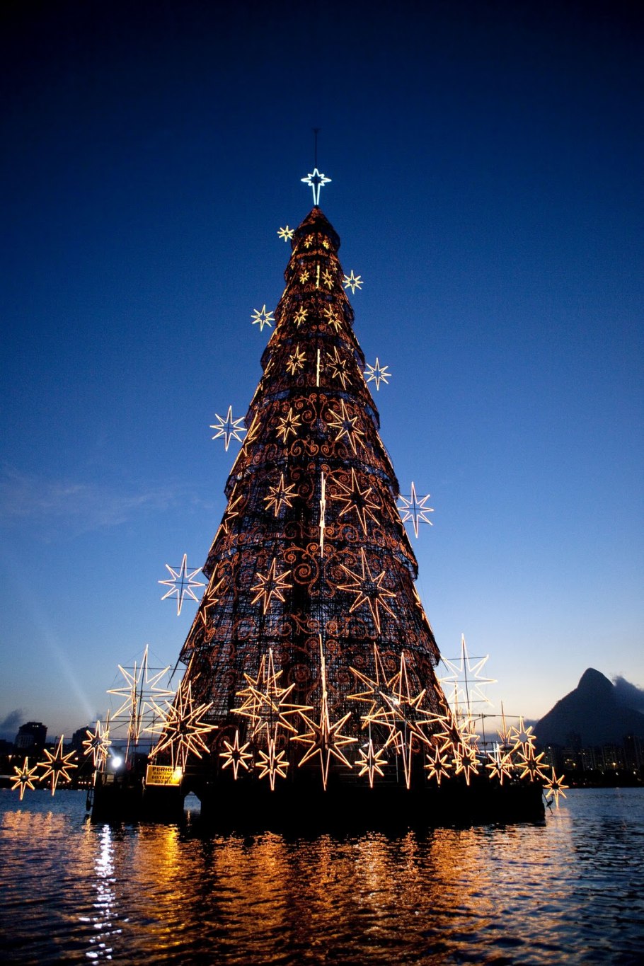 Ель красная Picea Rubens