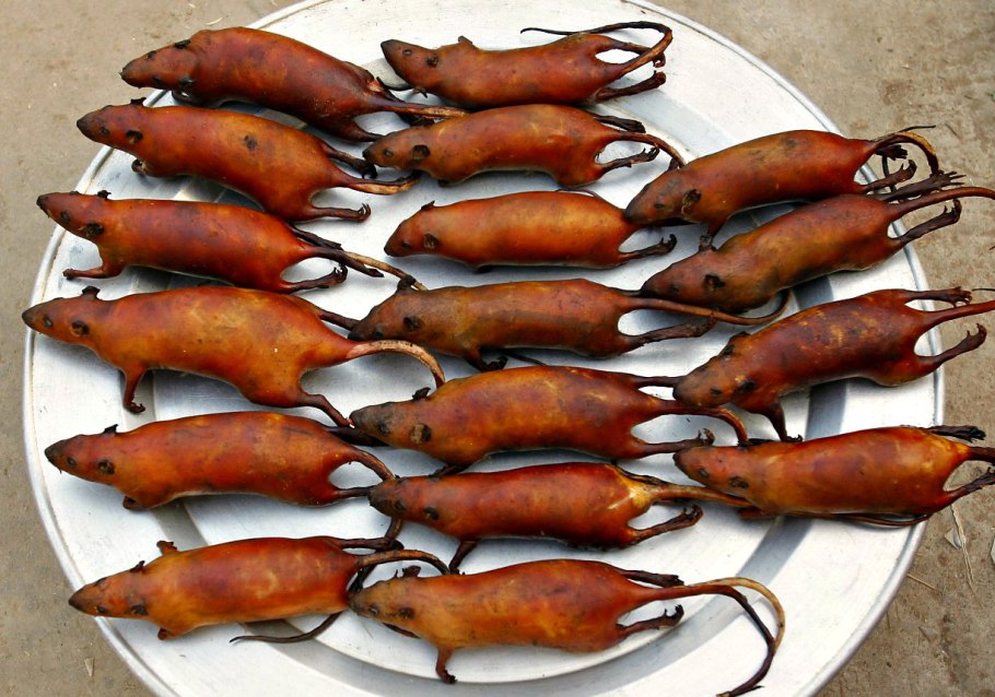 Вируссветрянки под микроскопом