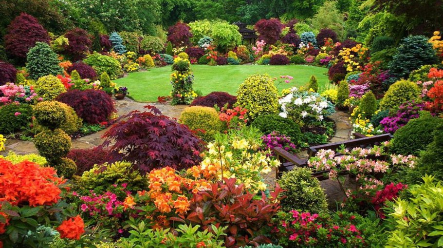 Хелен парк+ ландшафт