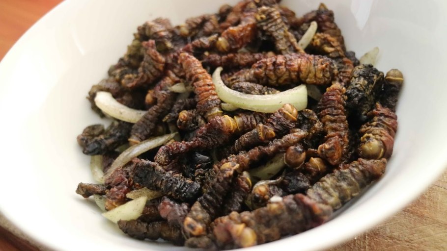 Блюдо мопане в Ботсване