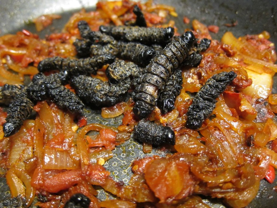 Мопане вормс