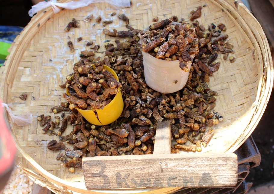 Мопане вормс