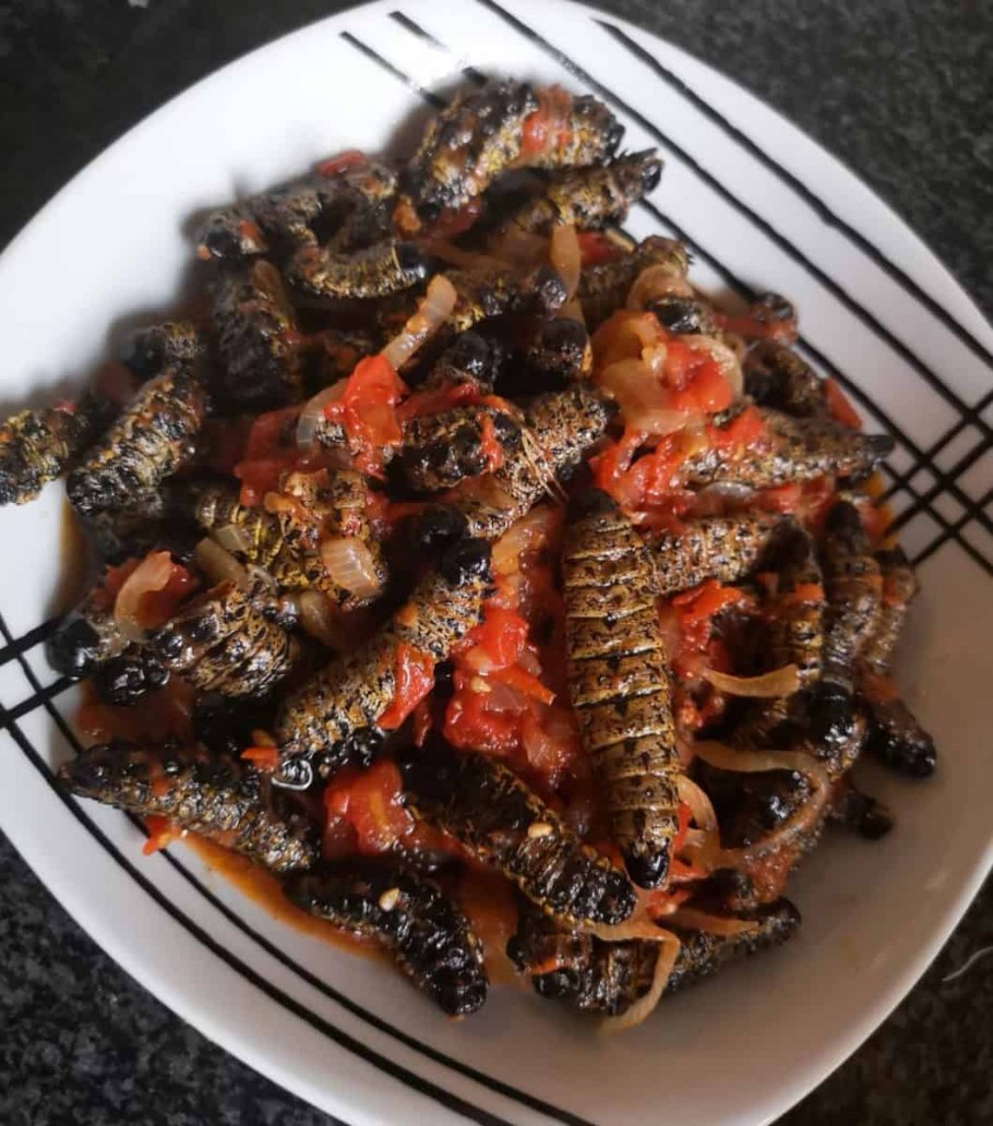 Дрова мопане