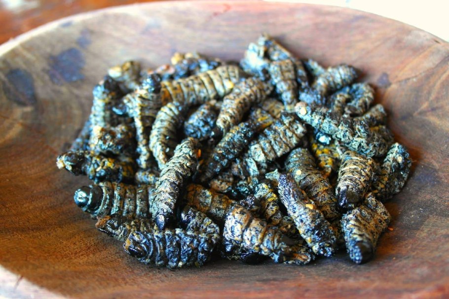 Мопане вормс