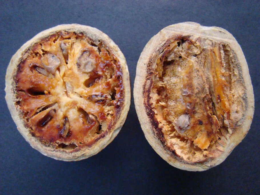 Каменное яблоко баиль