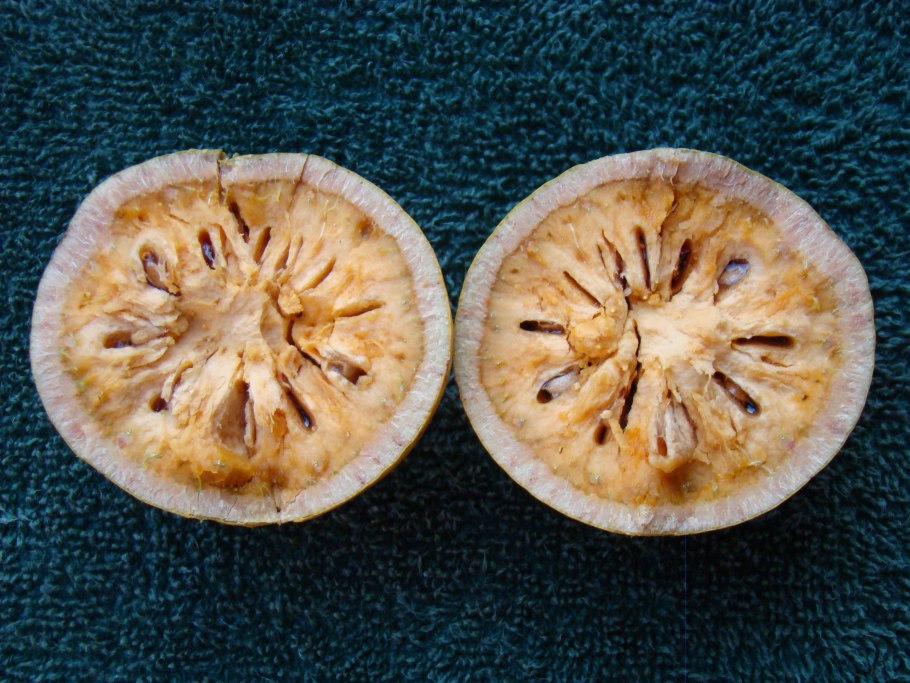 Каменное яблоко Баиль