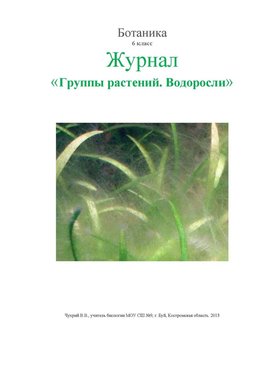 Класс Ульвофициевые (Ulvophyceae)
