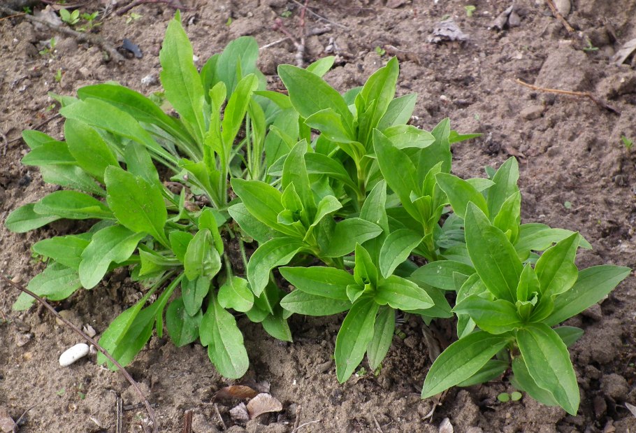 Холодильник Toshiba gr-rt565rs(LS)