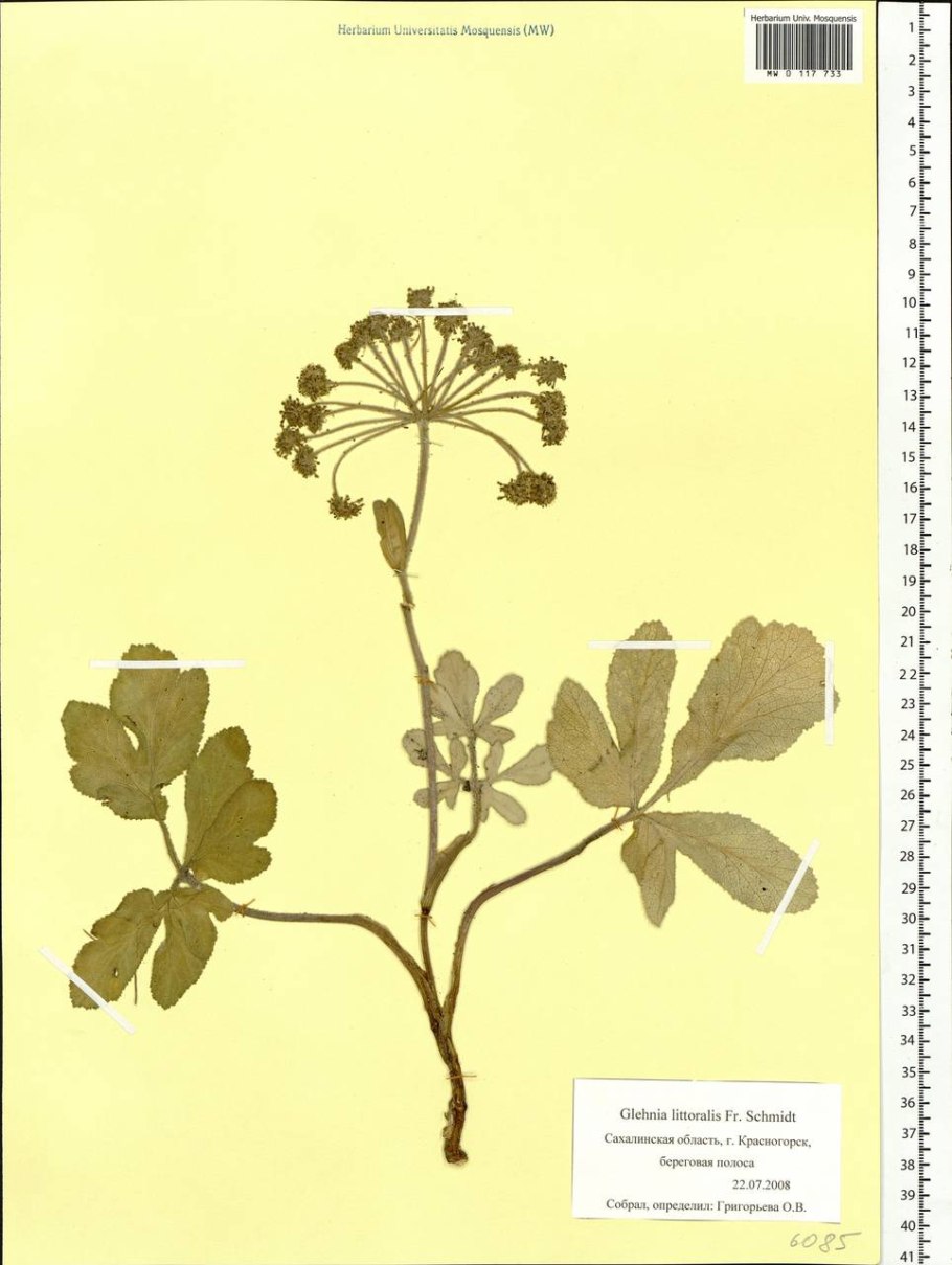 Мини экскаватор Kobelco sk025