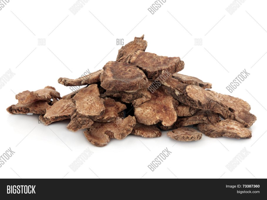 Майский Жук бронзовка