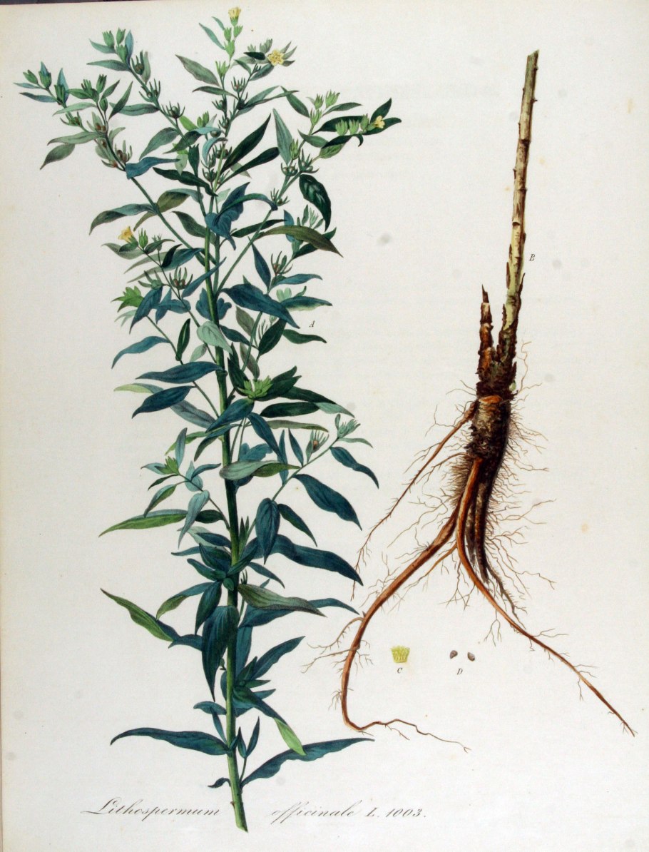 Корейская региональная кухня