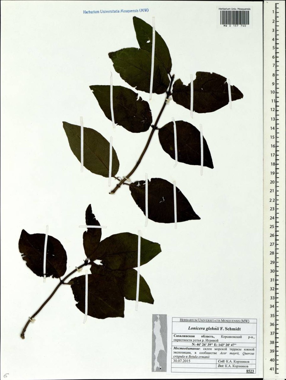 Technistone Crystal Polar White