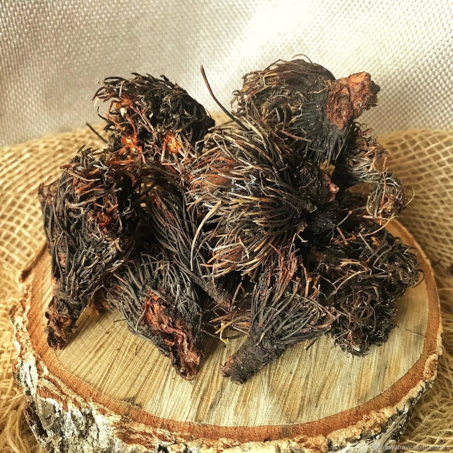 Радиола четырёхчленная красная щётка