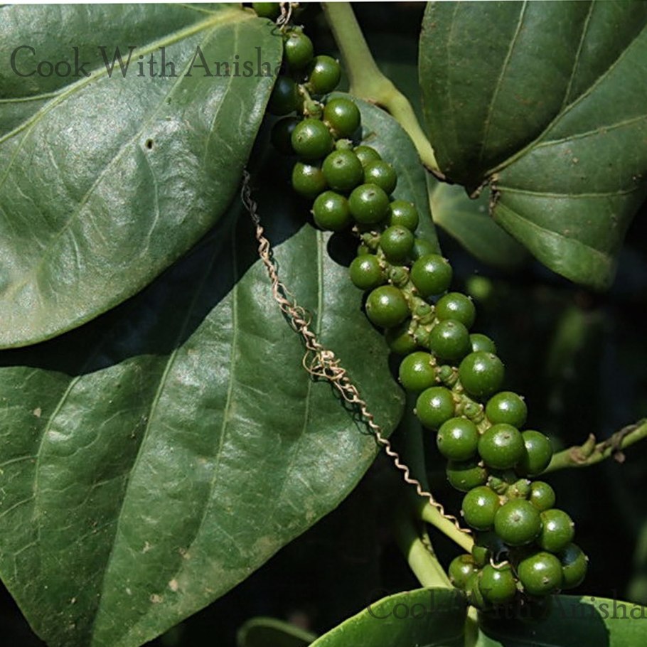 Водяной перец (Polygonum hydropiper)