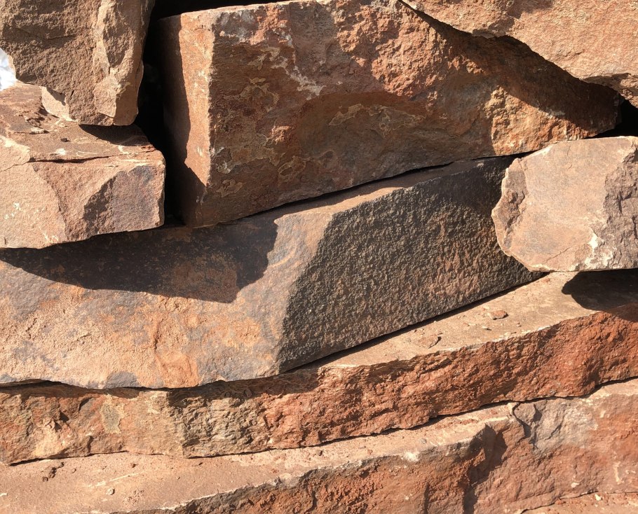 Почвопокровные многолетники Беккер