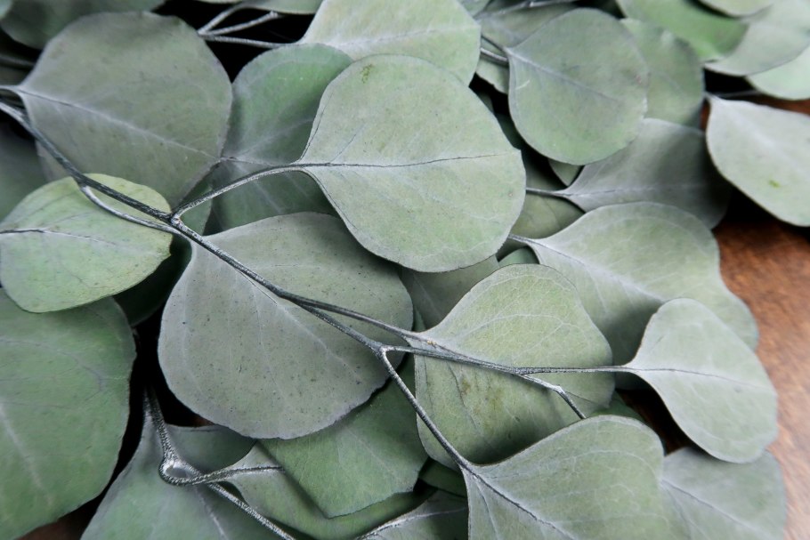 Цвет зеленый эвкалипт