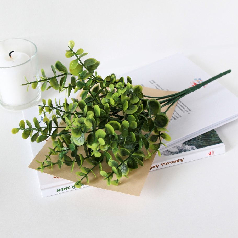 Эвкалипт икеа СМИККА