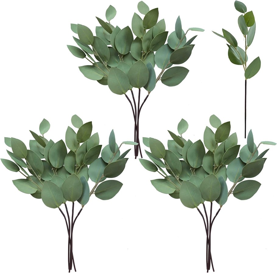 Эвкалипт Популус Сильвер