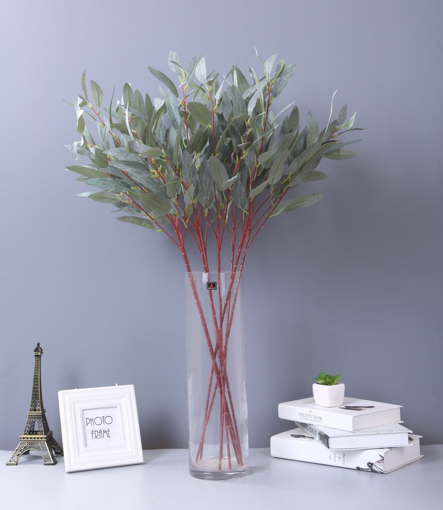 Эвкалипт бранч