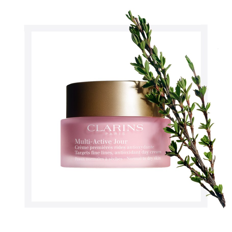 Myrothamnus flabellifolia