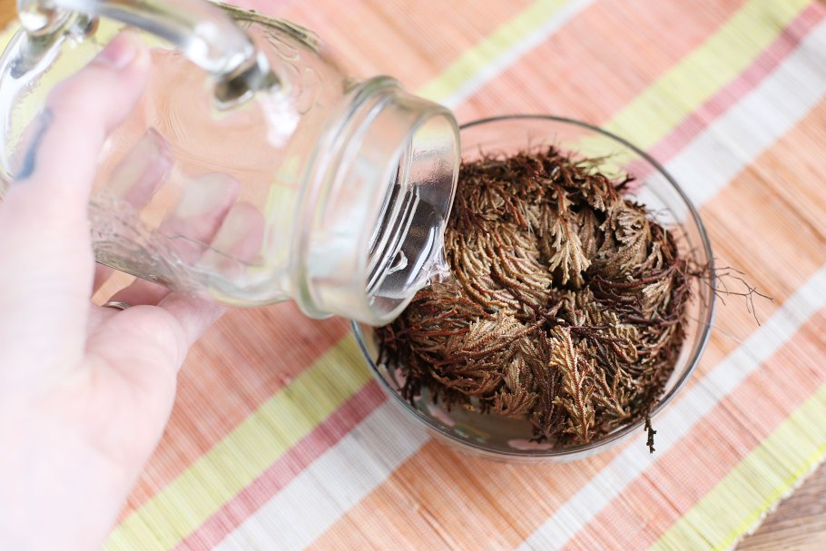 Сашель Liposal’ эссенция