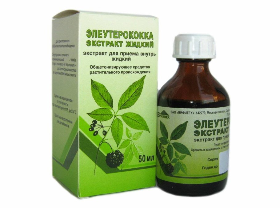 Элеутерококк Дальневосточный растение