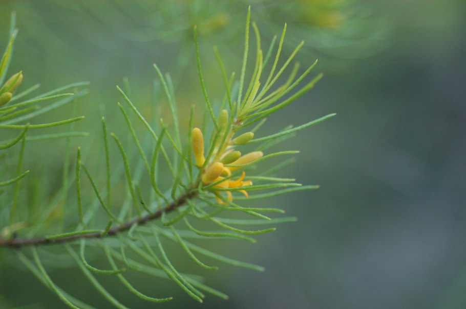 Ива памяти Бажова v10 125-150