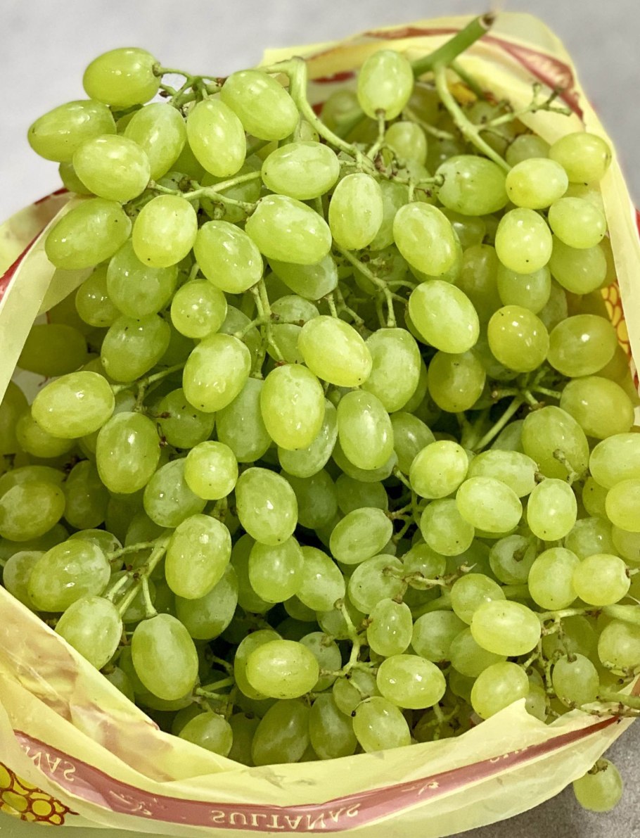 Изобильная Виноградная лоза