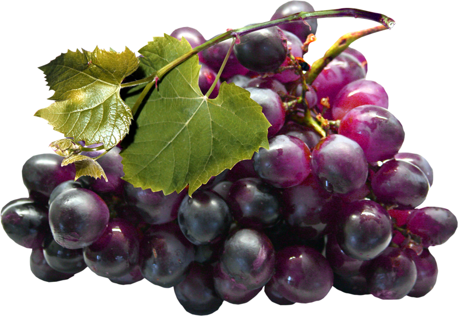 Листва виноградника лоза