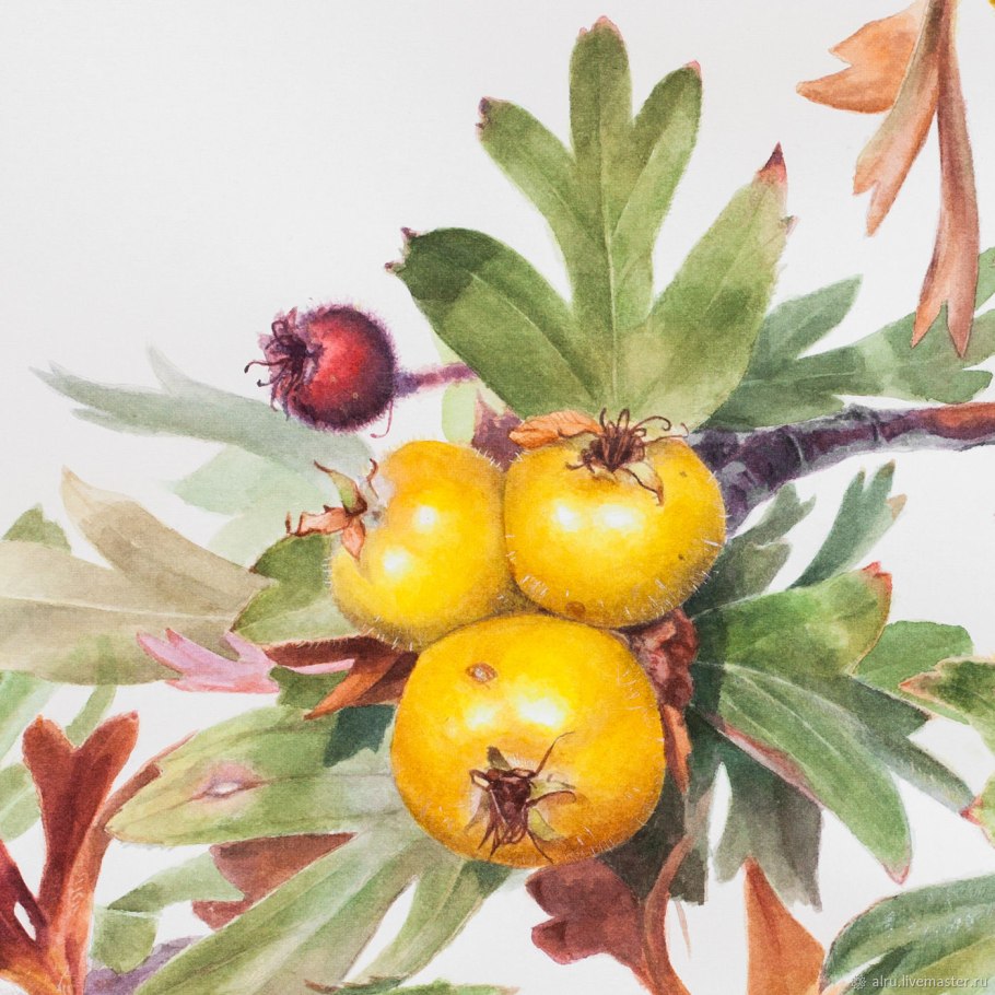 Боярышник на картинах известных художников