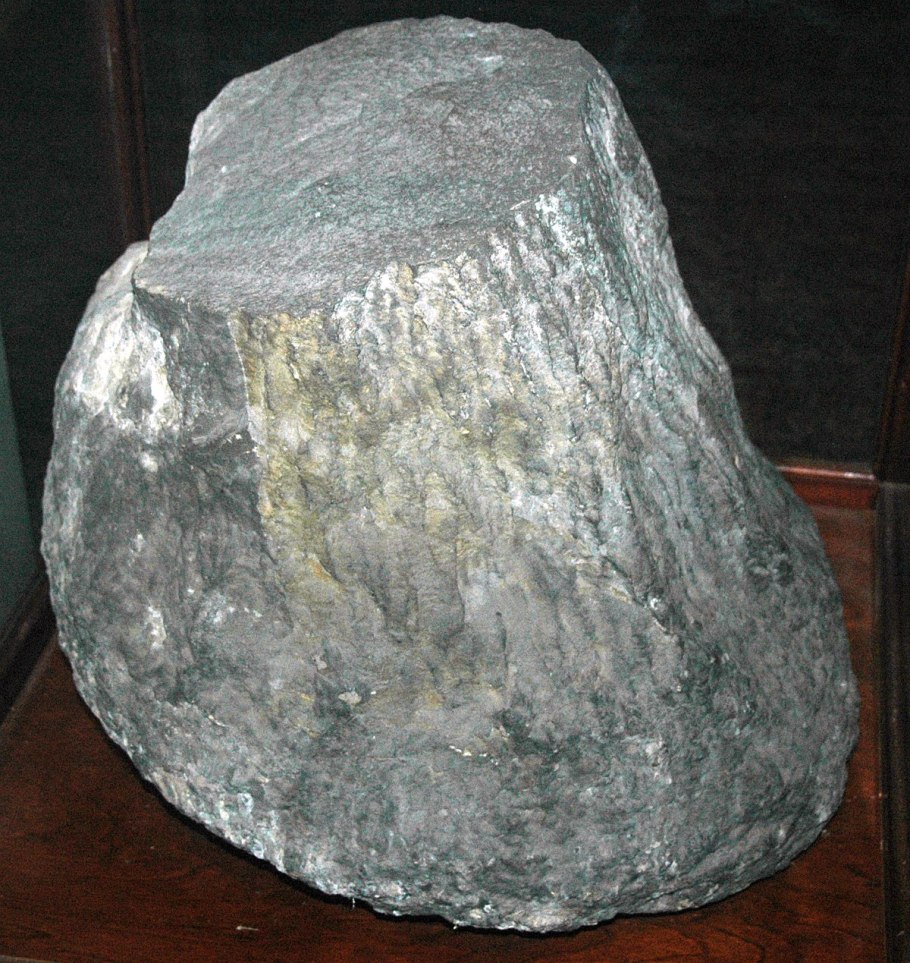 Подводные доисторические растения раскраски