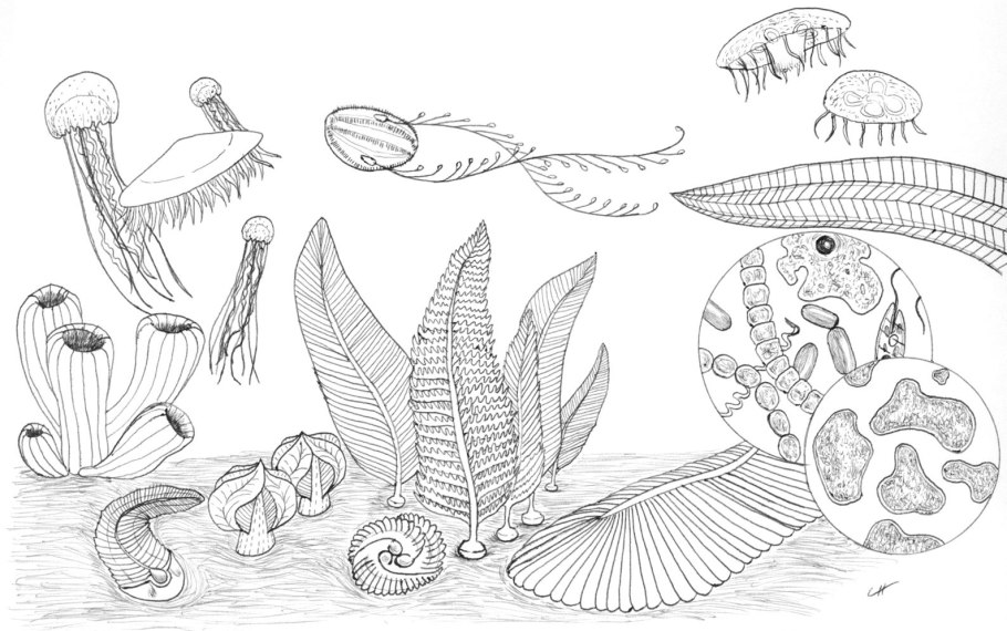 Technistone Crystal Polar White